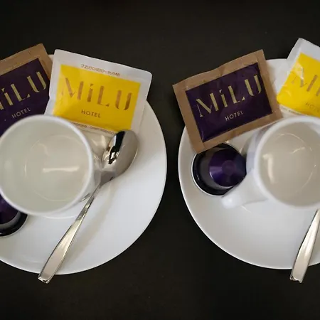 Milu Hotel 4*