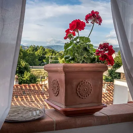 Apartment Bandinelli *