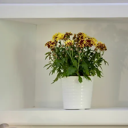 Dolce Bed & Breakfast Firenze