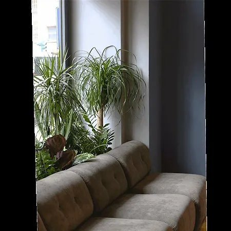 C-hotels Joy Отель