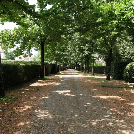 Bed & Breakfast Rovezzano 3*