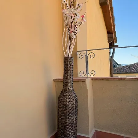 Domus Plaza Guest house