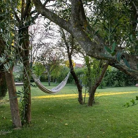 Villa Tenuta Del Podesta