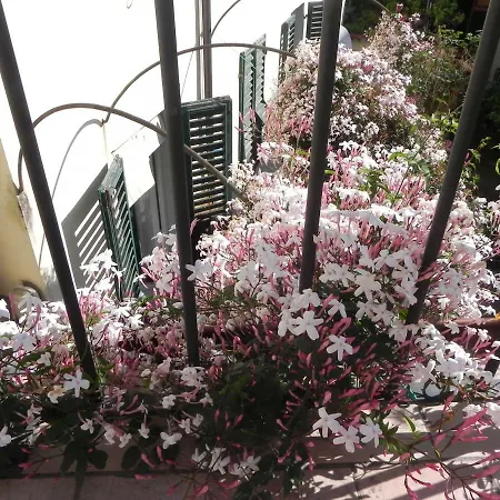 Bed & Breakfast Villino Degli Artisti *