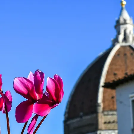 Romantic Terrace Florencie
