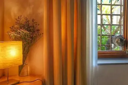Perfect Location In Center Florencia