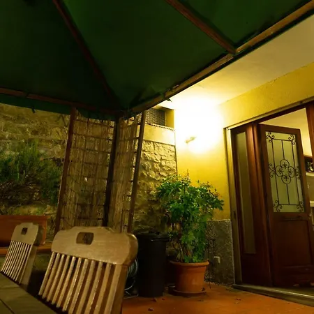 Green Corner In City Apartment *
