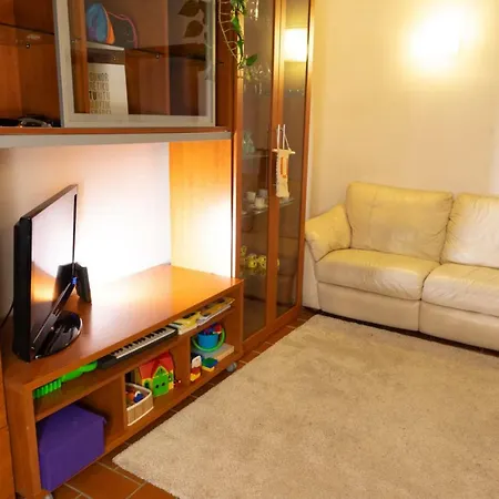 Green Corner In City Apartment