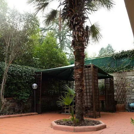 Green Corner In City Apartment *