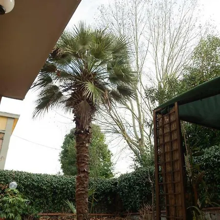 Green Corner In City Florence