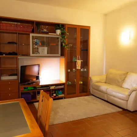 Green Corner In City Apartment