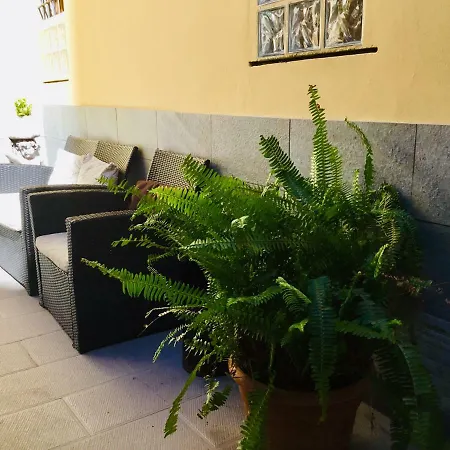 Hostel New