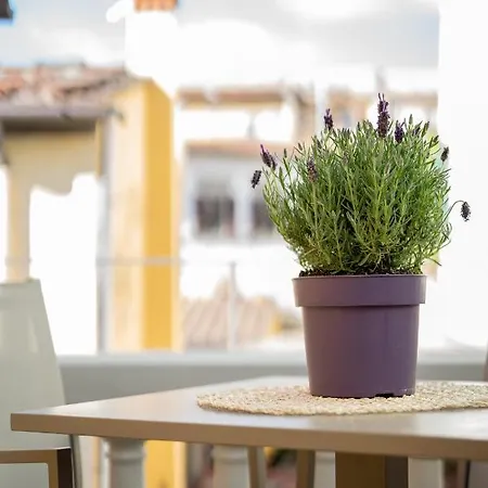 Olive Loft Apartment Florence