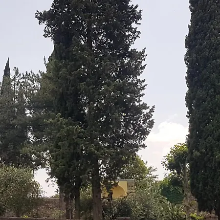 Piccolo Poggio *