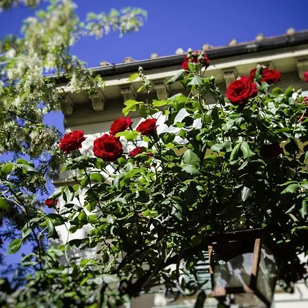 Lovely Nest Near Center Florenz