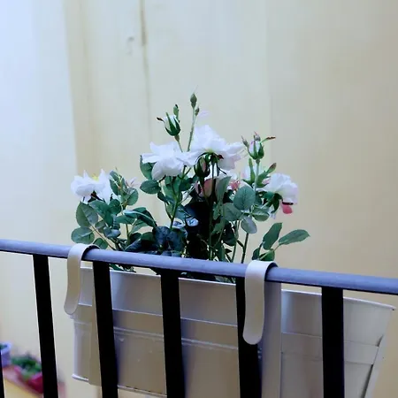 Apartament Santa Reparata *
