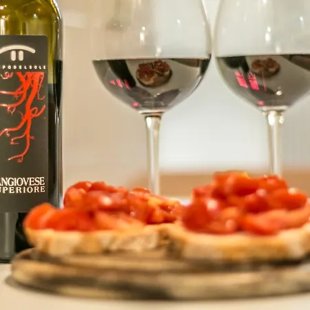 Apartment Wine Sangiovese *
