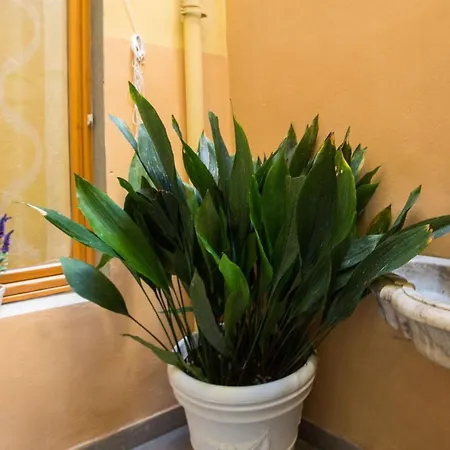 Charming Fiesolana In Heart Of *