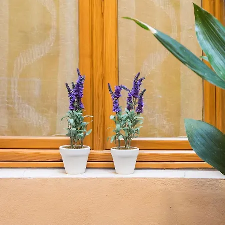Appartamento Charming Fiesolana In Heart Of