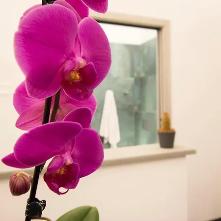Lorenzo Luxury Apartment