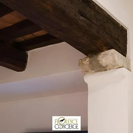 Ground Floor With Patio-ghibellina 65 Firenze