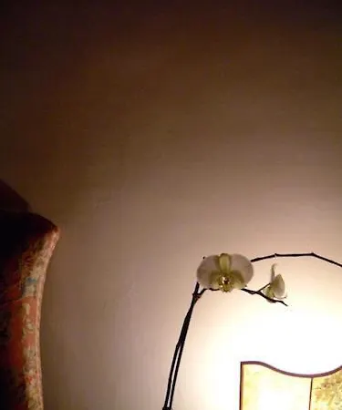 Hotel Cestelli Florencie