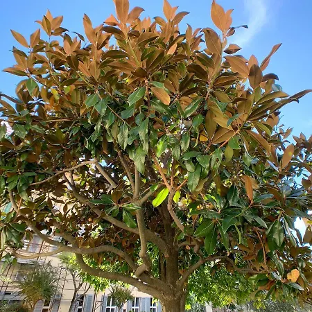 Casa Per Ferie Suore Oblate Dell'assunzione לינה וארוחת בוקר