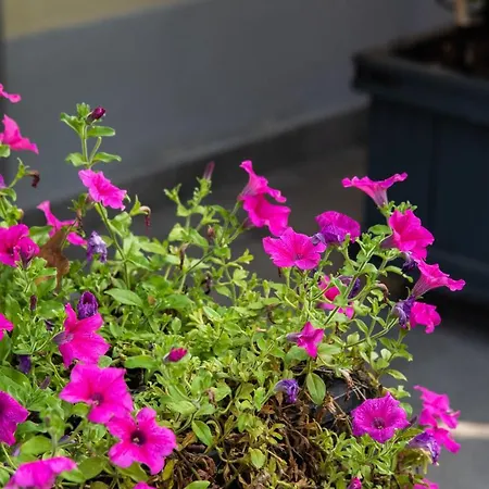 Bed & Breakfast La Fonderia Firenze