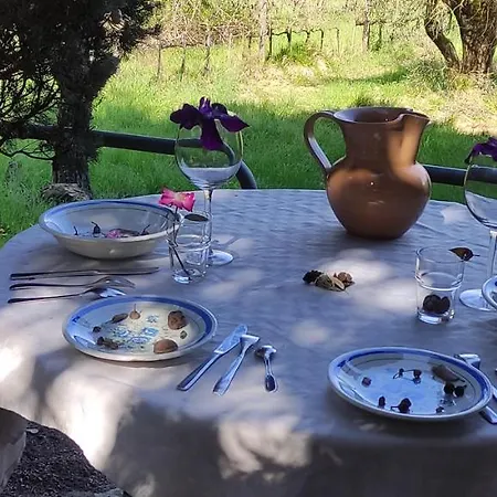 Casa Con Vista Su מלון דירות