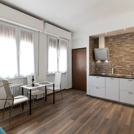 Central Apartment