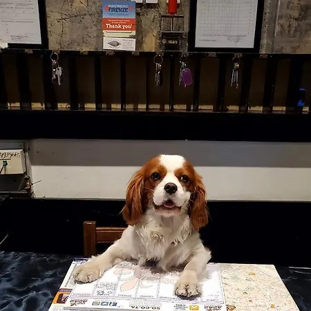酒店 费朵拉酒店 佛罗伦萨