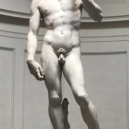 Appartement Dependace Il David Di Michelangelo
