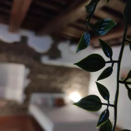 Guest house Dante's Dei Cerchi *
