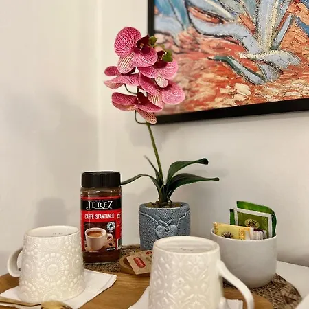 Milu - Milu Holidays Bed & Breakfast Florence