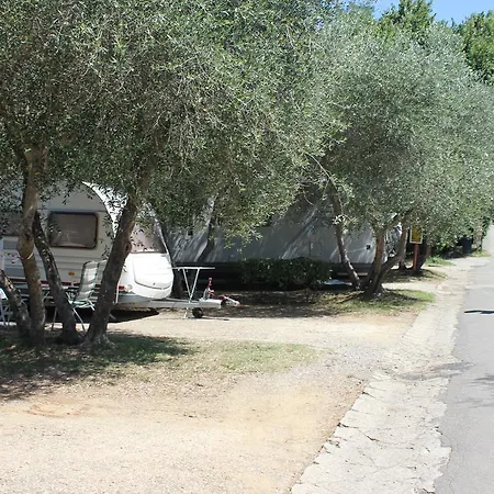 Camping Michelangelo 2*