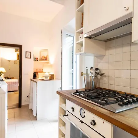 Capponi Deluxe Apartament Florencja