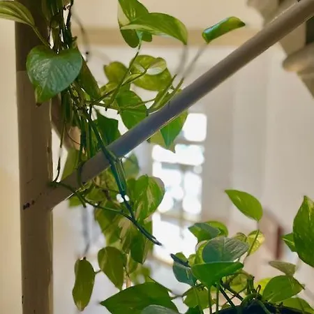 Apartamento San Iacopino *
