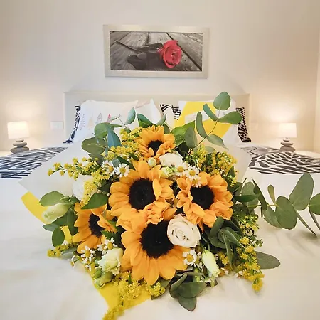 Bed & Breakfast Comfort