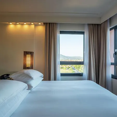 Hilton Metropole