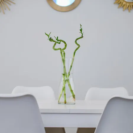 Maison Monteverdi * Флоренция