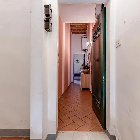 Violet Flat, San Gallo *