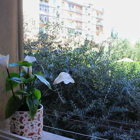 Emy * Florenz