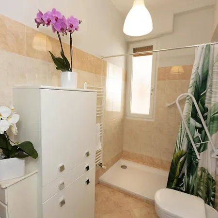 Apartment Oasis *