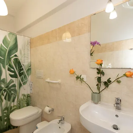 Apartment Oasis