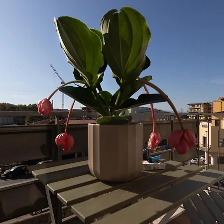 Apartment Oasis *