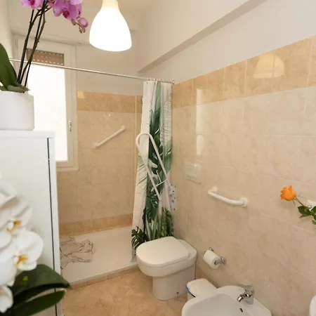 Apartment Oasis *