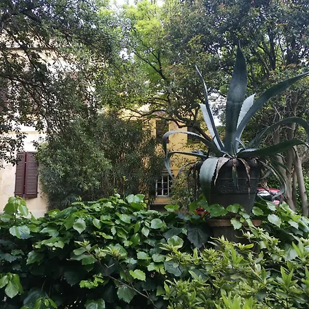 Διαμέρισμα Pintino Garden *