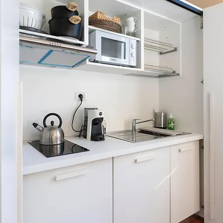 Apartment Stunning In Antique Xii