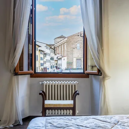 Wonderful View Carmine *