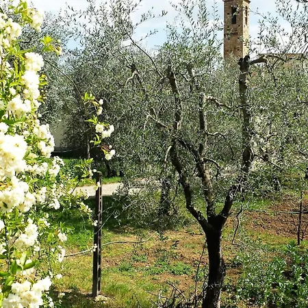 Lovely In *